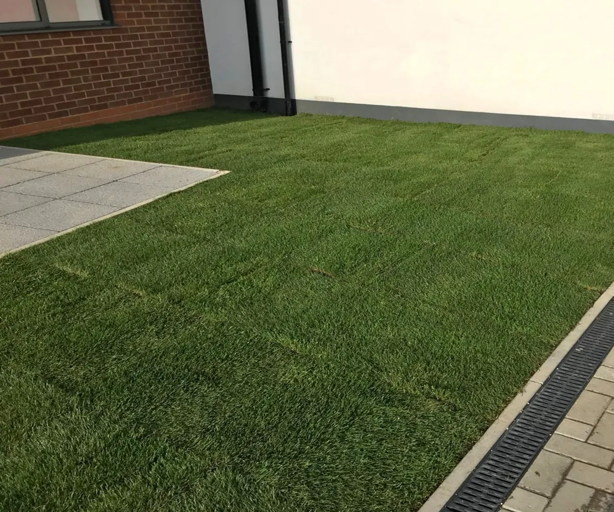 New turf laid beside paving with a drainage channel